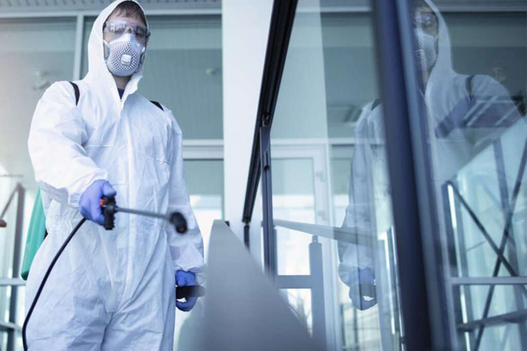 disinfestazione per aziende